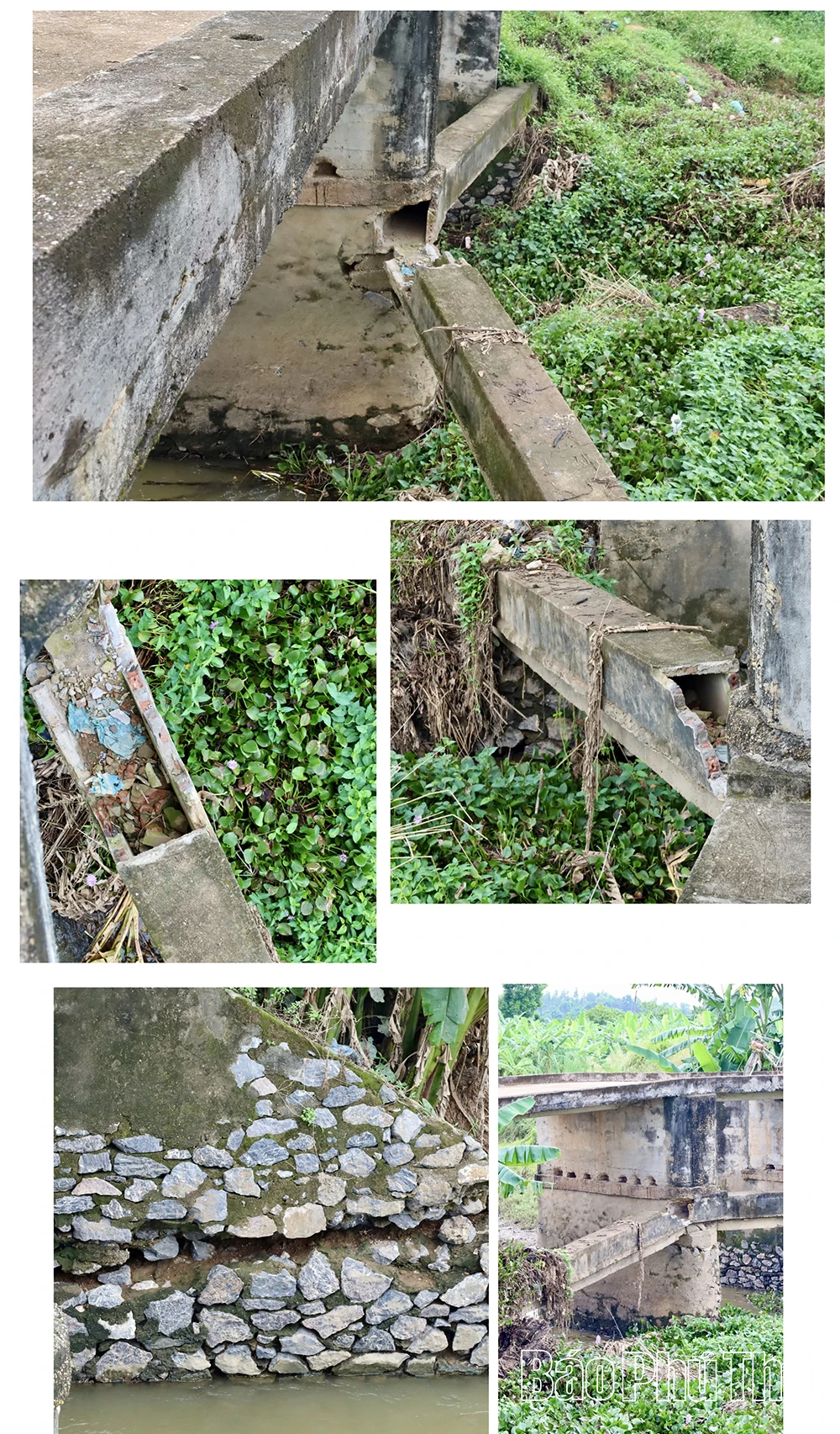 Mong ước ở Thanh Ba