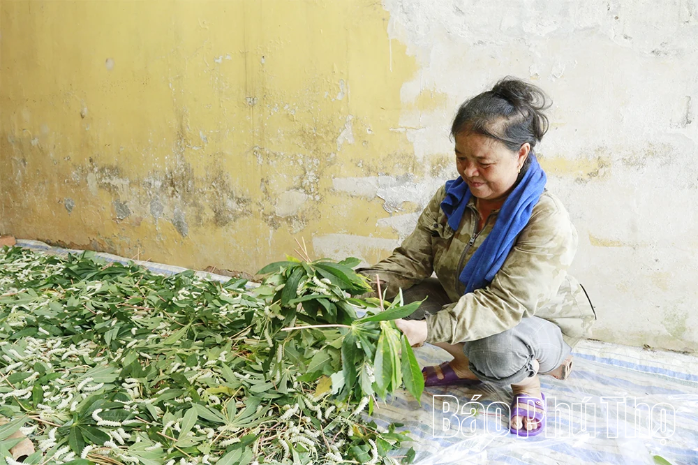 Những phú nông “ăn cơm đứng”