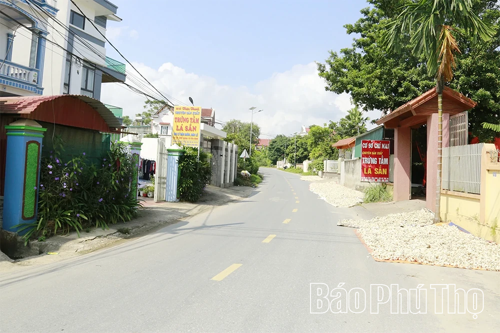 Những phú nông “ăn cơm đứng”