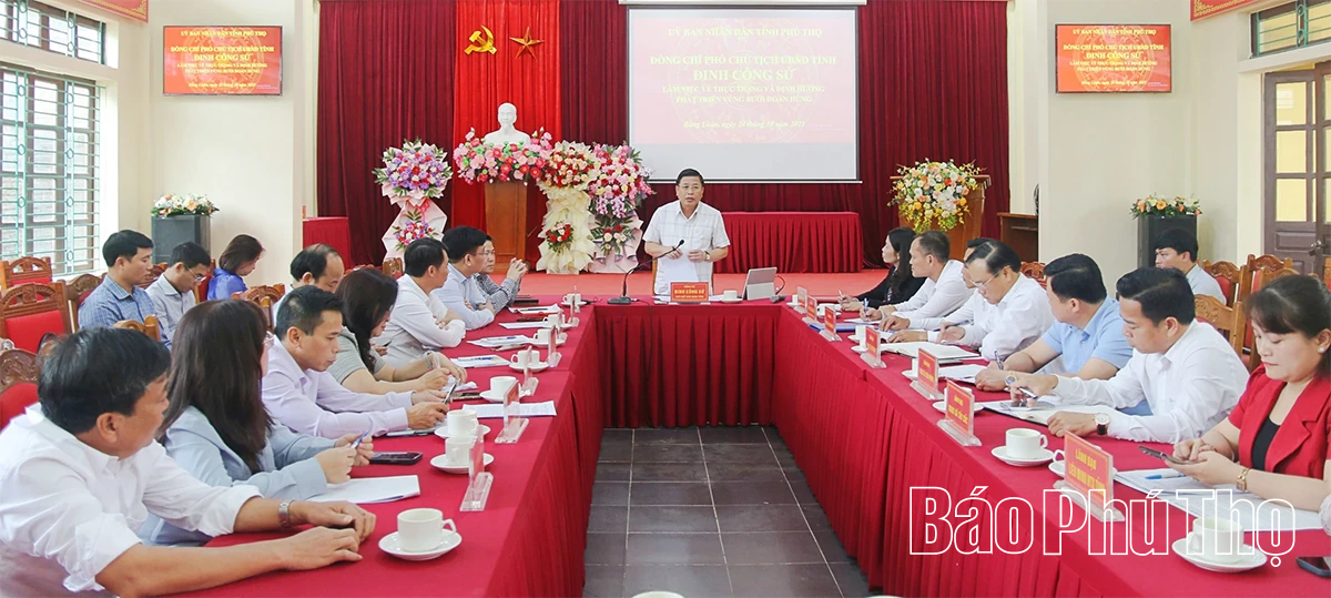 Tiếp tục phát triển sản xuất vùng bưởi Đoan Hùng có hiệu quả, thương hiệu bền vững