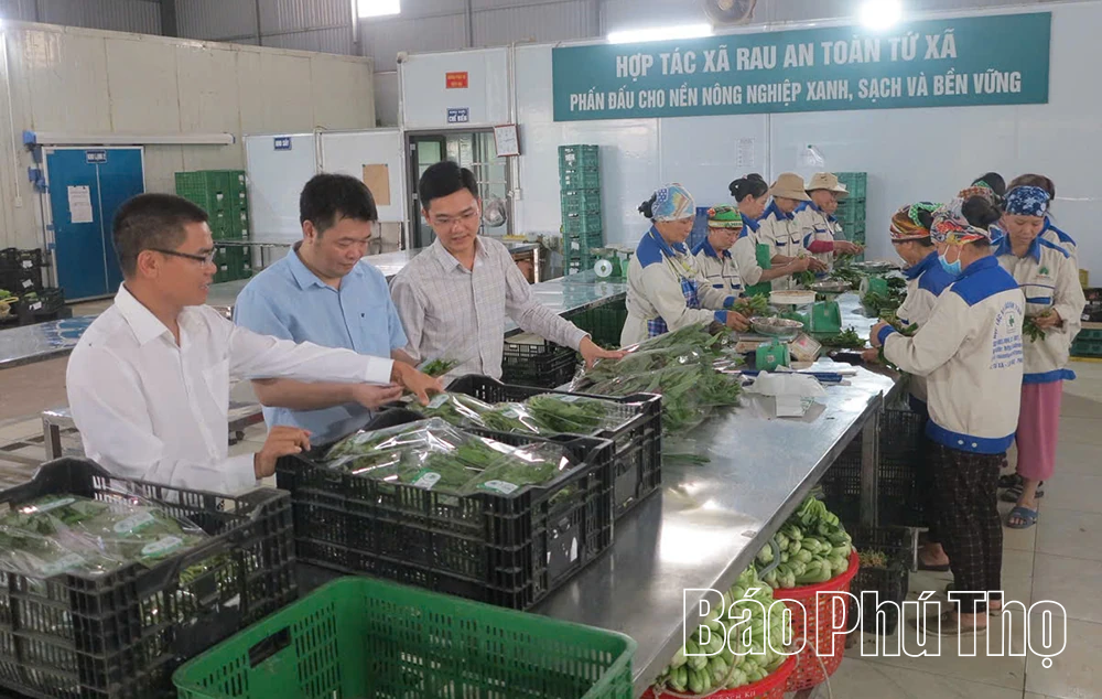 Giải pháp nâng cao giá trị và bảo vệ người tiêu dùng