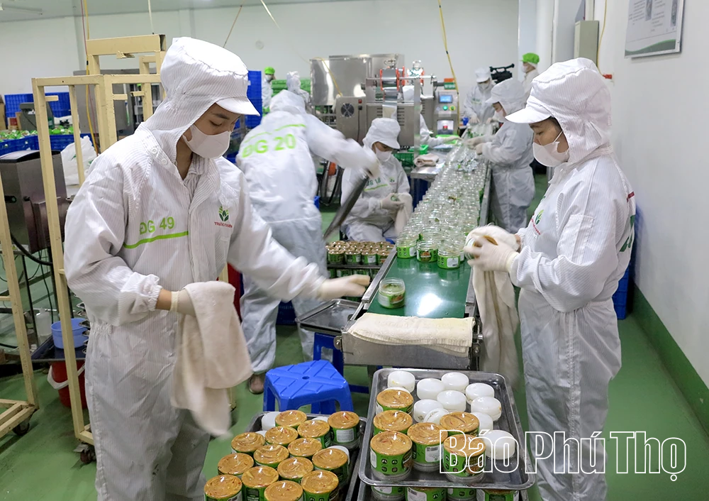 Giải pháp nâng cao giá trị và bảo vệ người tiêu dùng