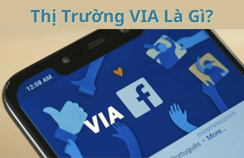 Thị trường Via Việt Nam Năm 2025: Xu hướng và cơ hội đầu tư