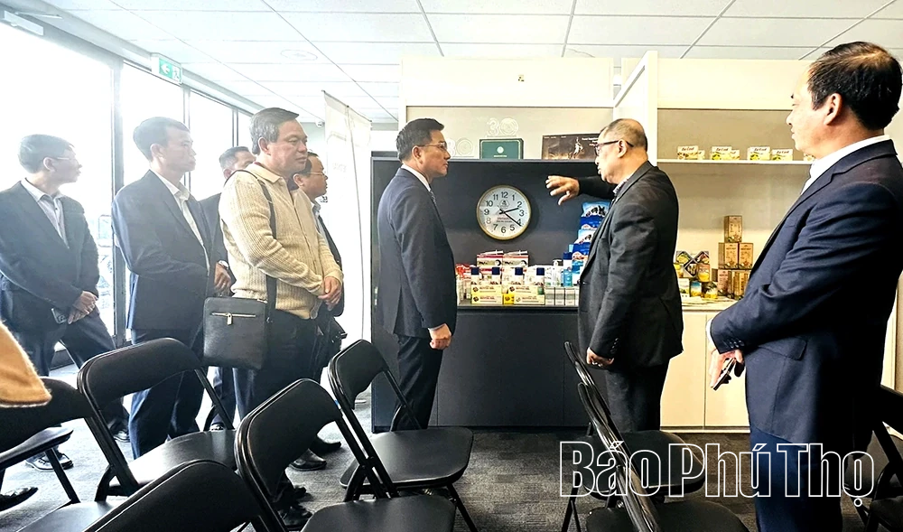 Lãnh đạo tỉnh Phú Thọ làm việc với Hội doanh nhân Việt Nam tại Úc