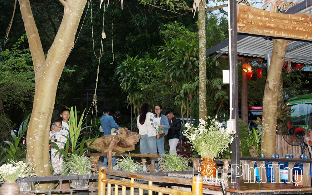 Người đưa hương sắc núi rừng lên bản đồ du lịch quốc tế