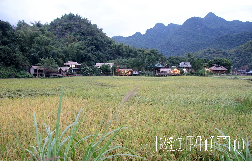 Người đưa hương sắc núi rừng lên bản đồ du lịch quốc tế
