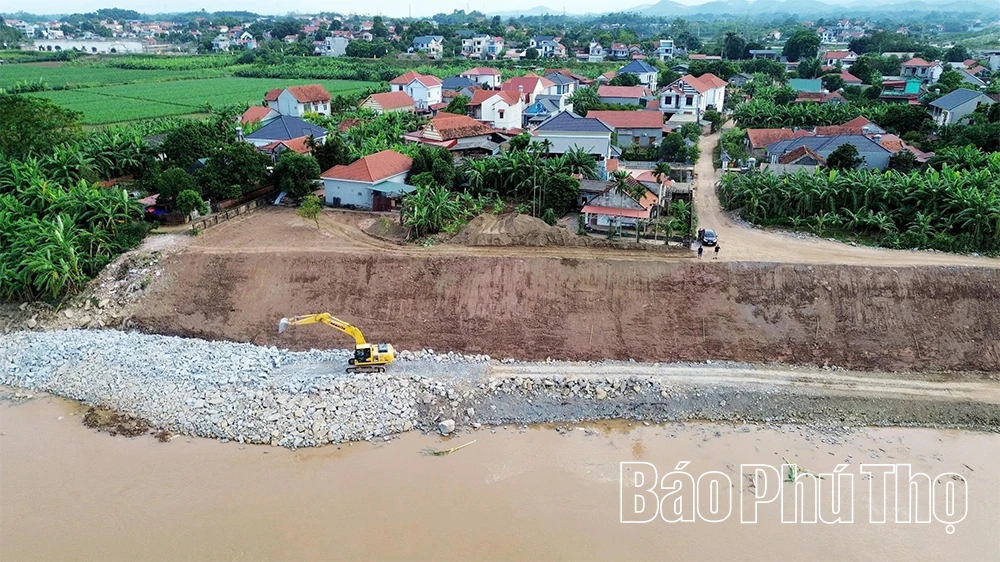 Cấp bách “cứu” các điểm sạt lở bờ, vở sông Hồng