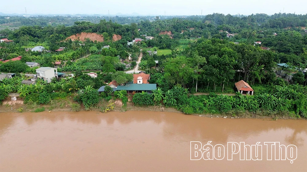 Cấp bách “cứu” các điểm sạt lở bờ, vở sông Hồng