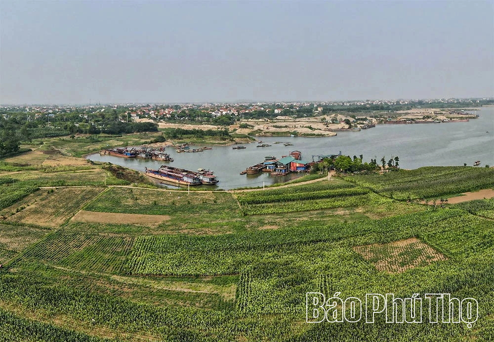 Những miền quê trù phú ven sông Hồng