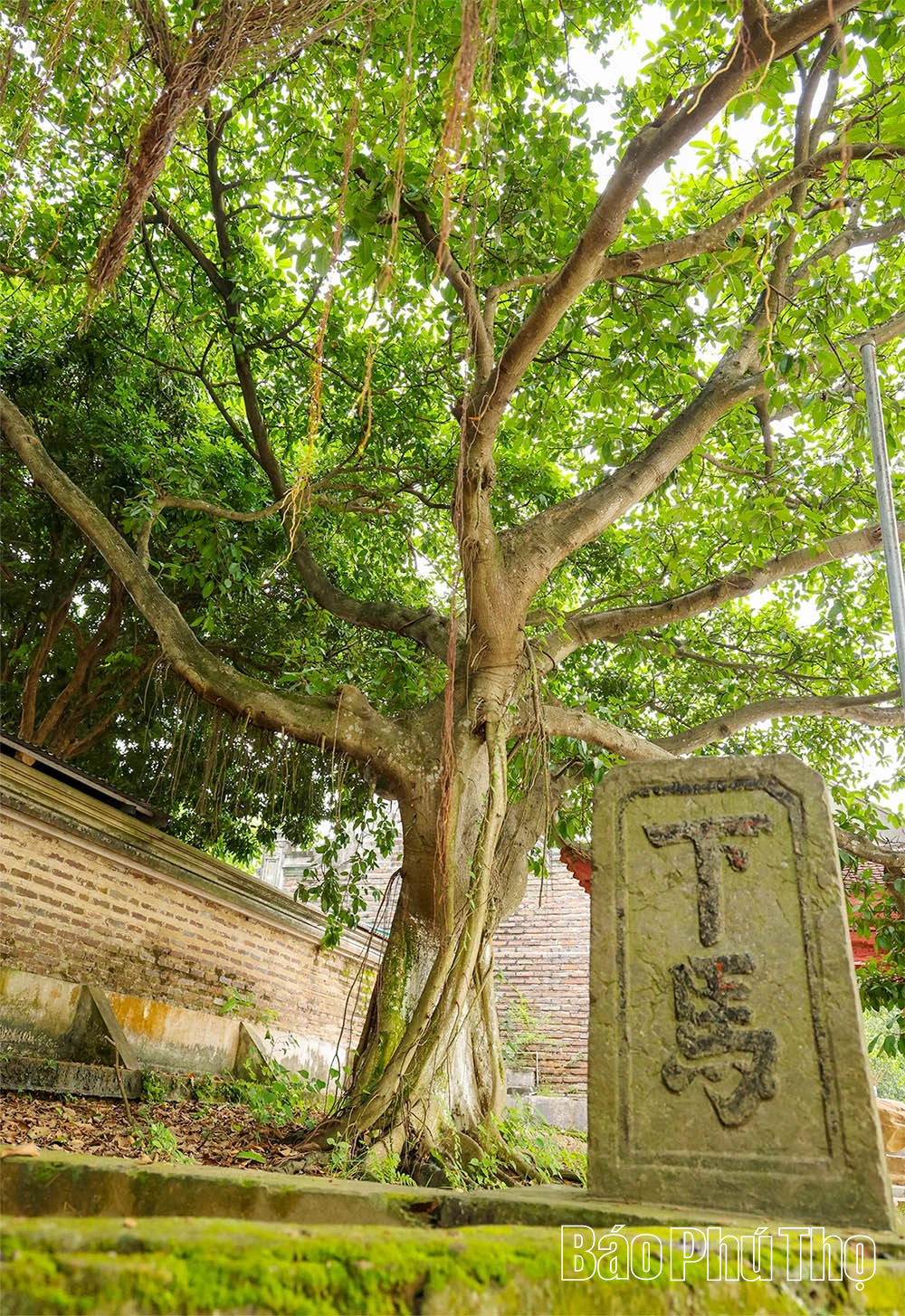 Nơi lưu giữ hào khí Lam Sơn