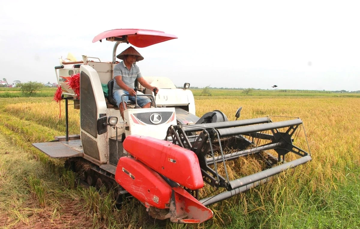 Nhạc trưởng của những cánh đồng mẫu lớn tại Hải Phòng