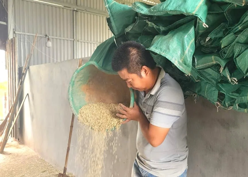 Nhạc trưởng của những cánh đồng mẫu lớn tại Hải Phòng
