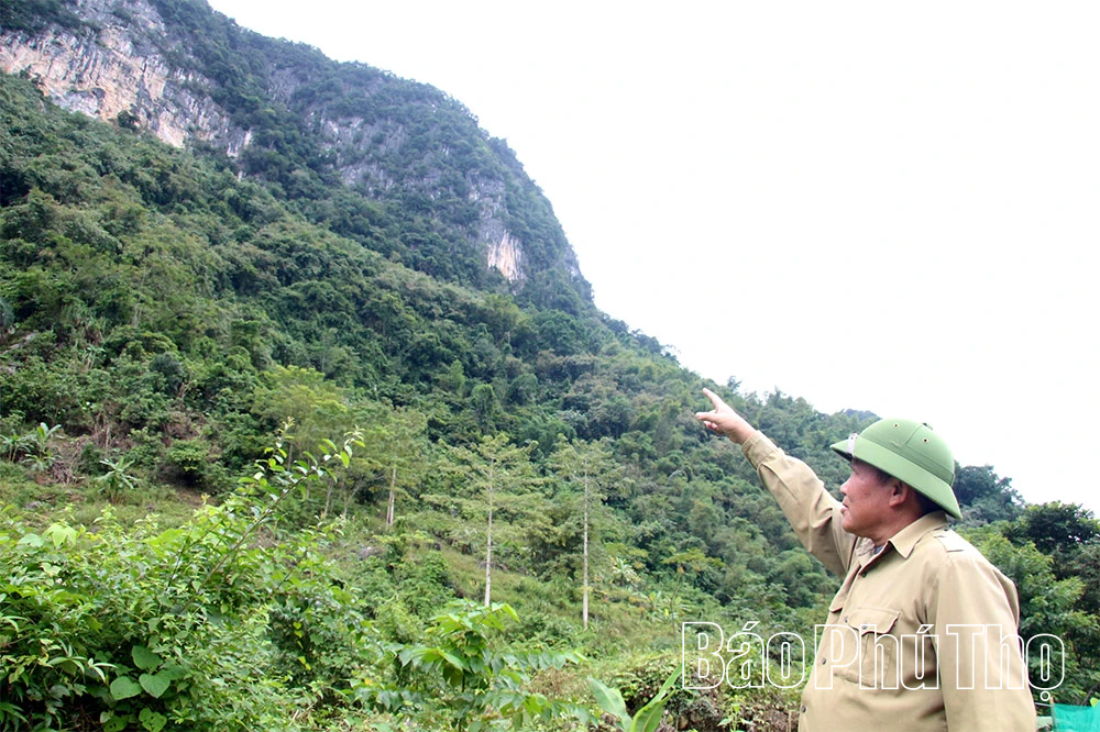 Chuyện về người bảo vệ đàn khỉ hoang dã nơi vùng lòng hồ Hòa Bình