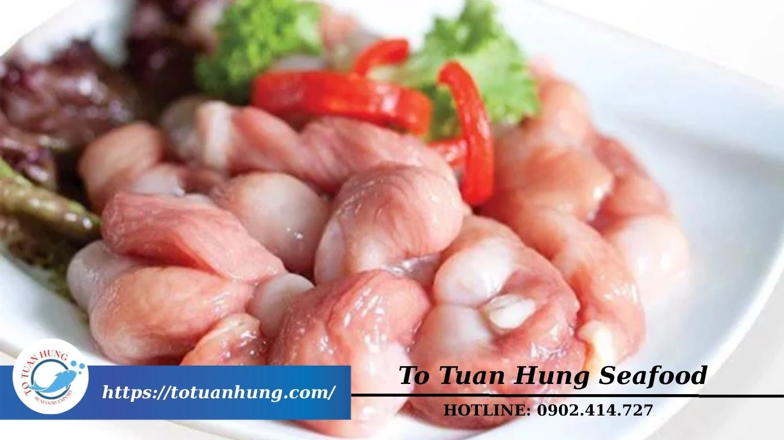 Bao tử cá ba sa – Niềm tự hào xuất khẩu của Tô Tuấn Hưng Seafood