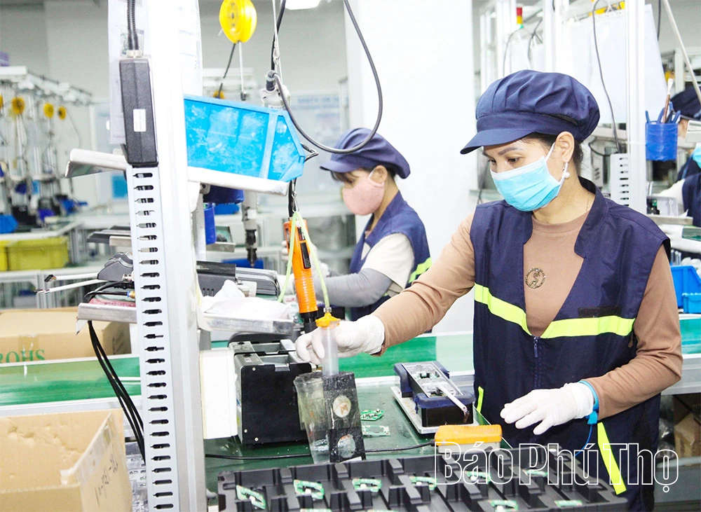 Tăng tốc xuất khẩu, khẳng định vị thế trên thị trường quốc tế