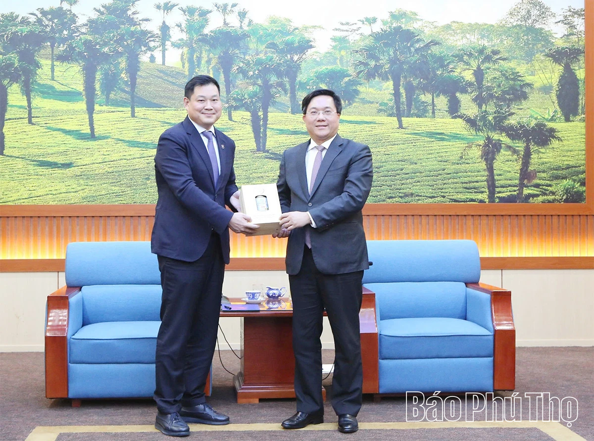 Chủ tịch UBND tỉnh Trần Duy Đông làm việc với Tập đoàn Xây dựng Thái Bình Dương