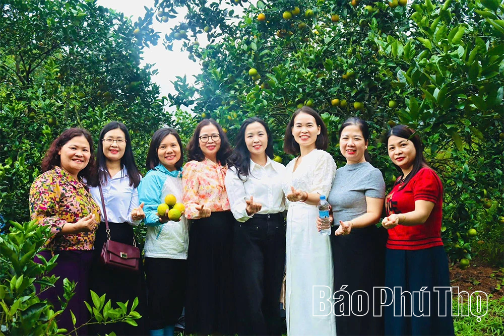 Mùa vàng Cao Phong