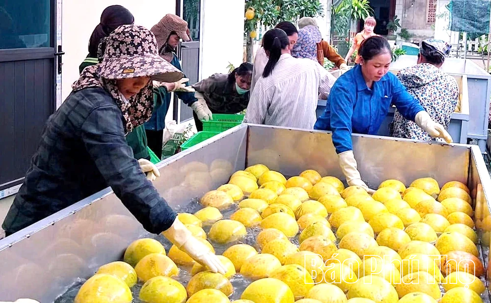 Đảng bộ xã Tân Lạc: Đưa nghị quyết của Đảng vào cuộc sống bằng những việc làm cụ thể