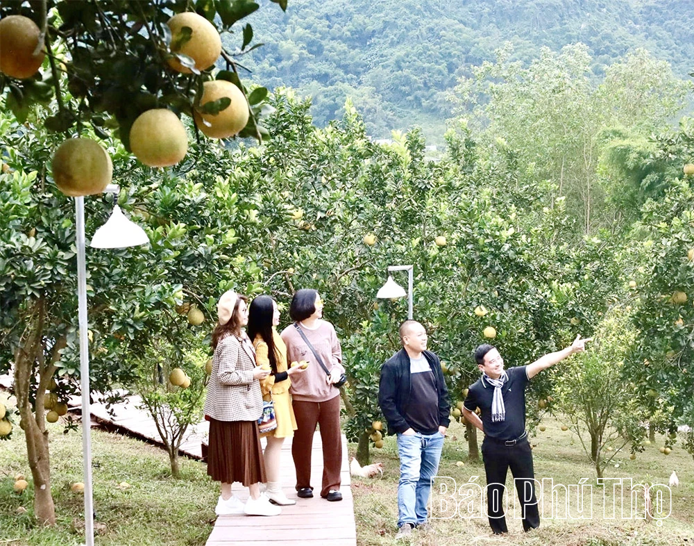 Sức hút du lịch nông thôn