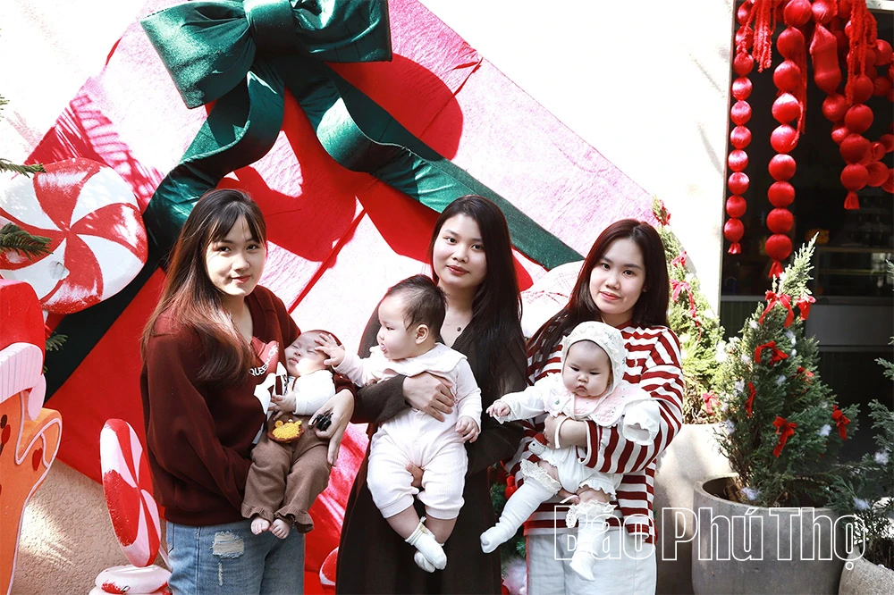 Phú Thọ “lên đèn” sớm mùa Giáng sinh