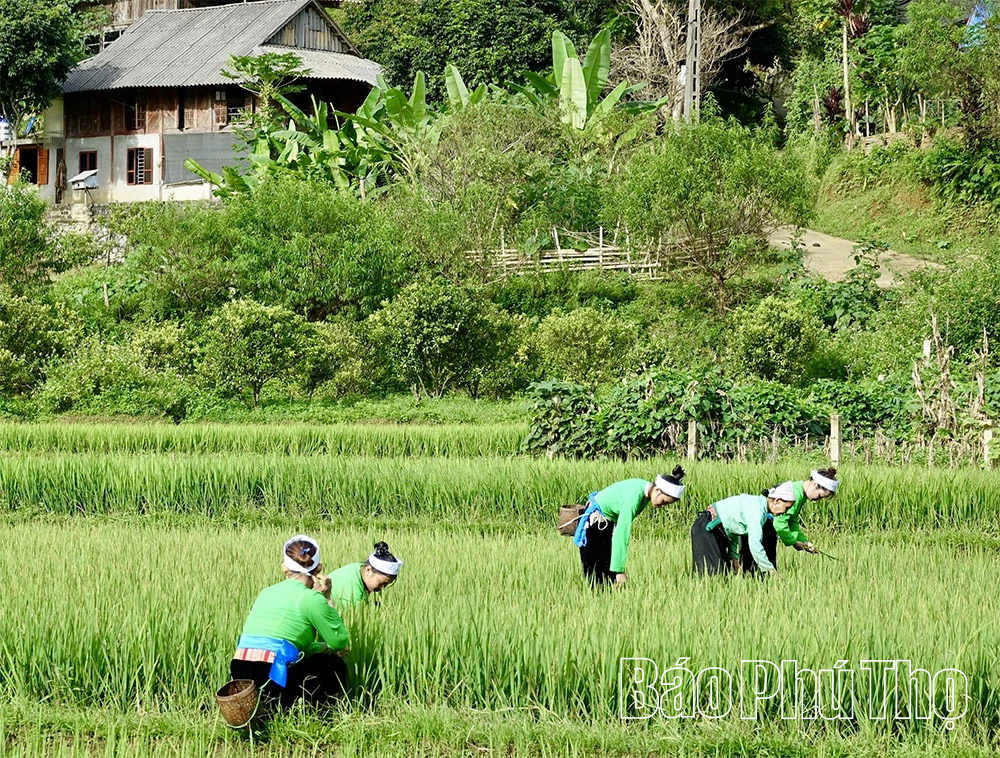 Khám phá du lịch trên “Nóc nhà xứ Mường”