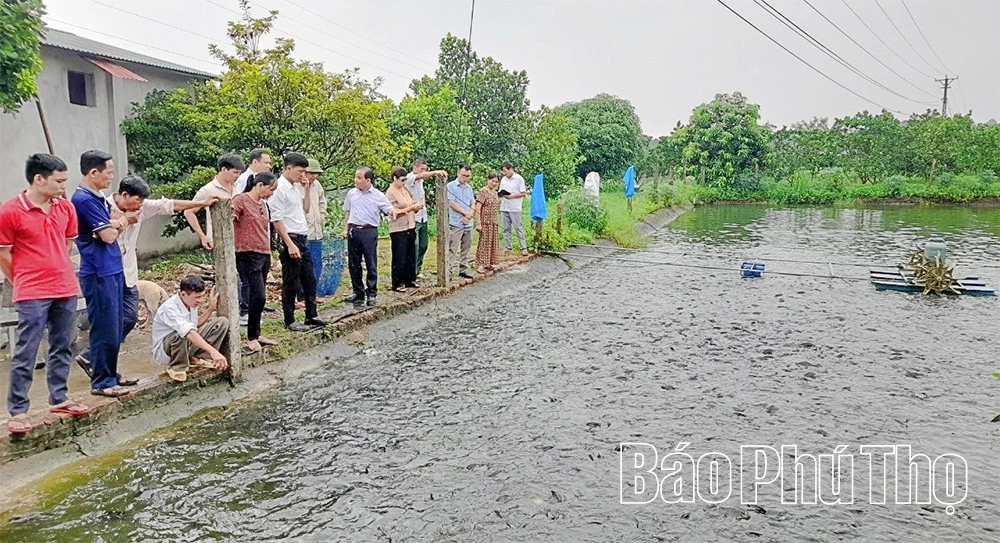 Ứng dụng khoa học công nghệ trong phát triển thủy sản
