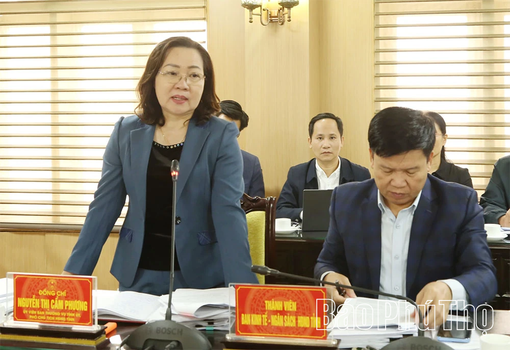 Ban Kinh tế - Ngân sách, HĐND tỉnh thẩm tra các báo cáo, dự thảo Nghị quyết