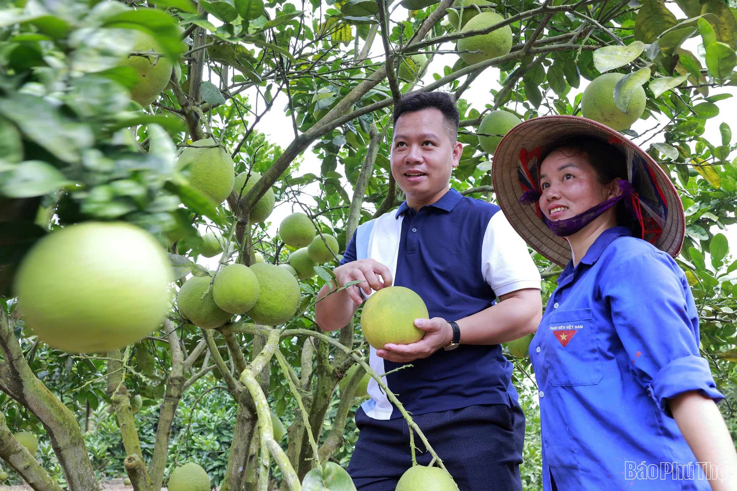 Hướng tới nền nông nghiệp sinh thái, tuần hoàn