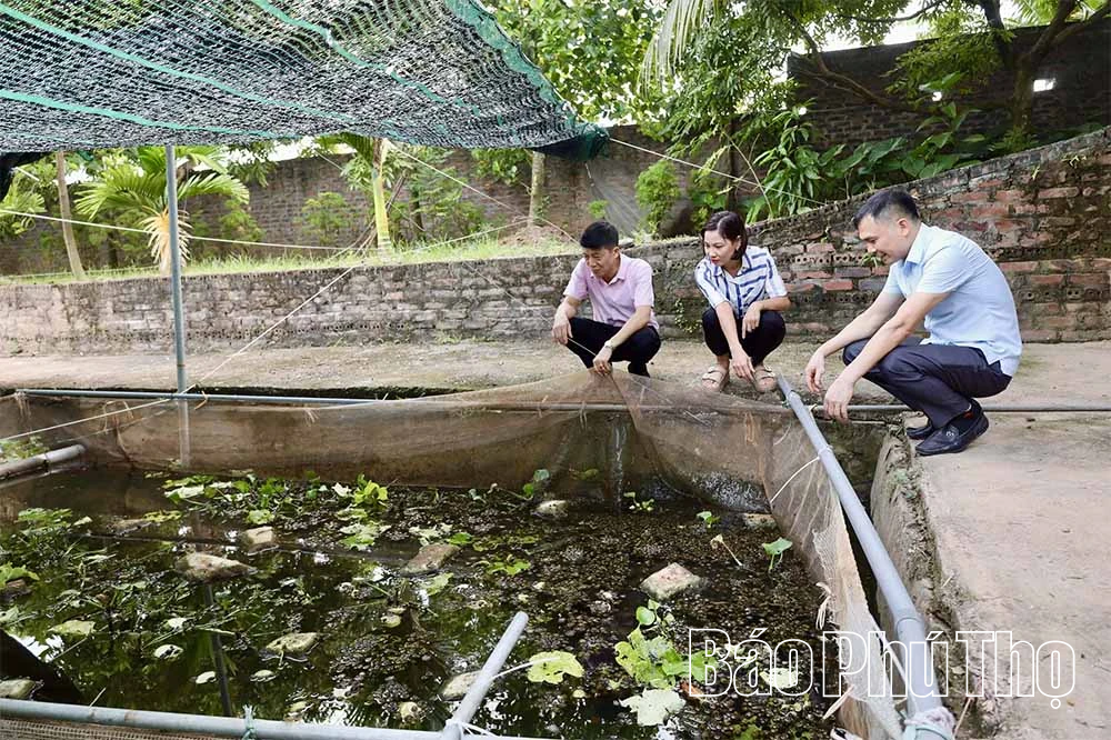 Đa dạng các mô hình phát triển kinh tế ở xã Liên Minh