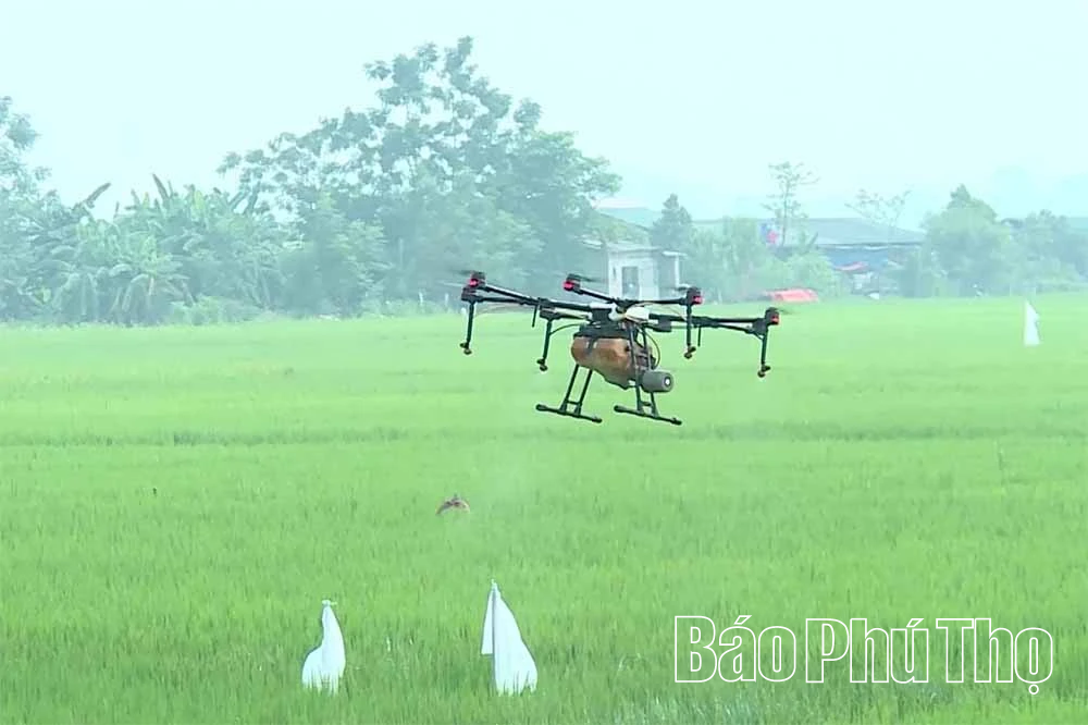 Cơ giới hóa trong sản xuất nông nghiệp