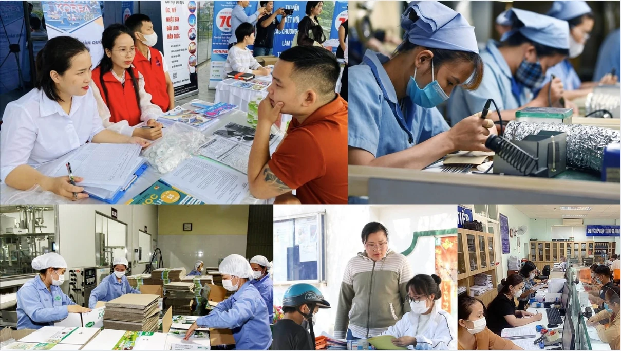 Bức tranh toàn cảnh thị trường việc làm quý IV/2025