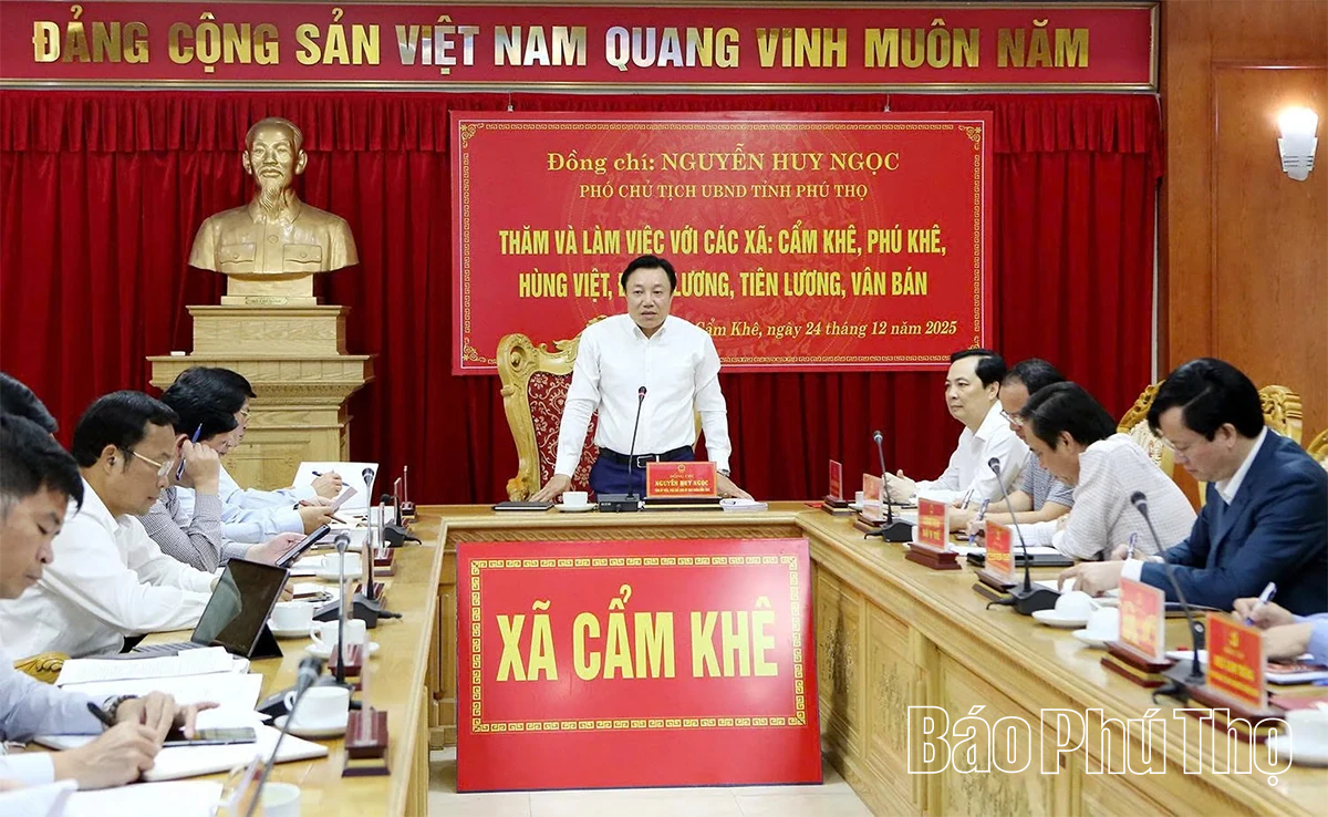 Phó Chủ tịch UBND tỉnh Nguyễn Huy Ngọc thăm, làm việc tại các xã khu vực Cẩm Khê