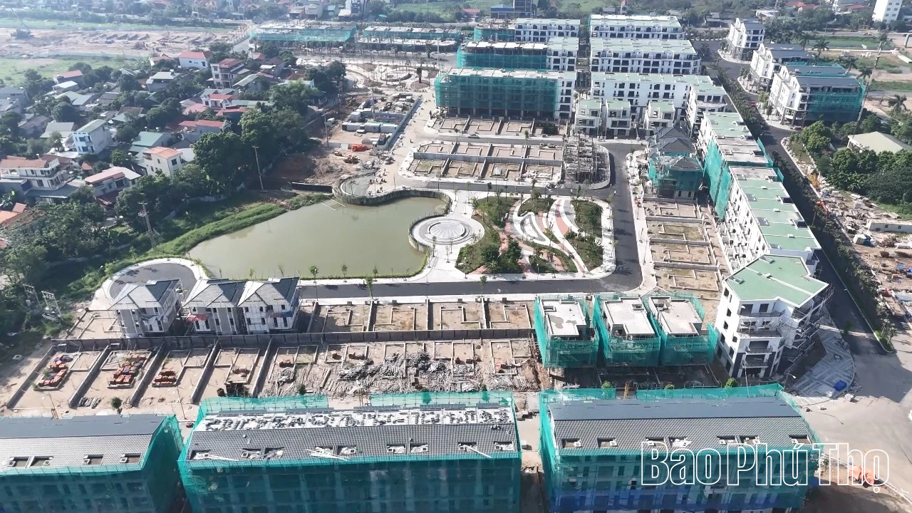 Palm Manor đã hoàn thiện 258 căn nhà