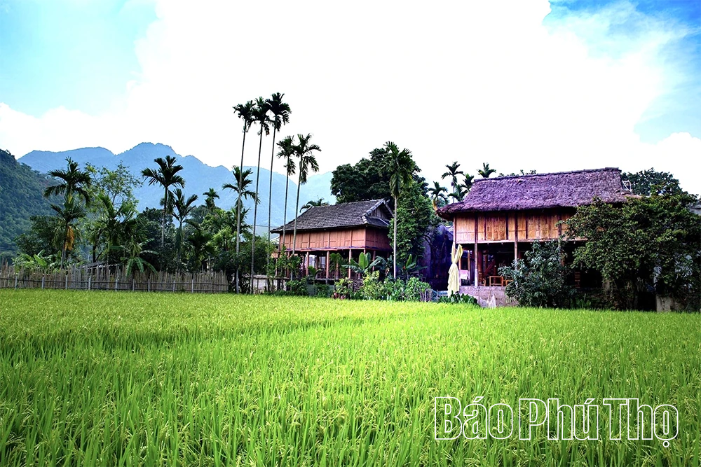 Hấp dẫn du lịch cộng đồng bản Thái Mai Châu