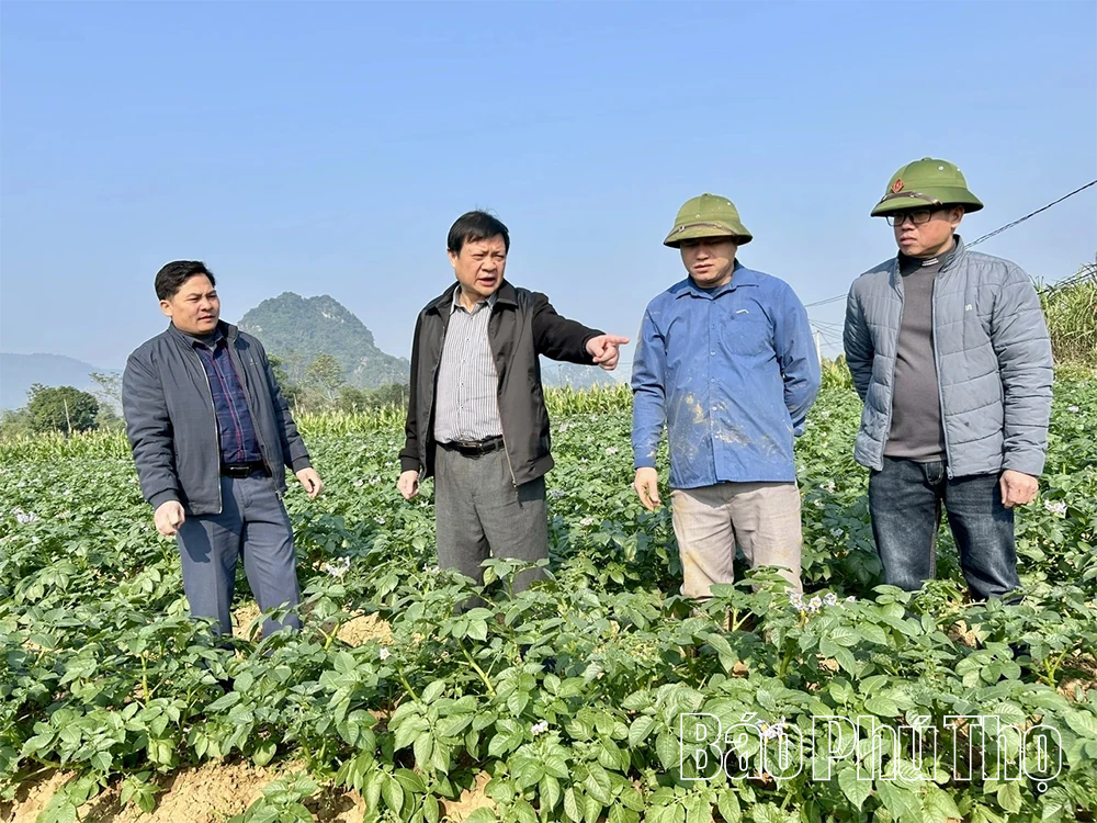 Hợp Kim đưa nghị quyết của Đảng vào cuộc sống