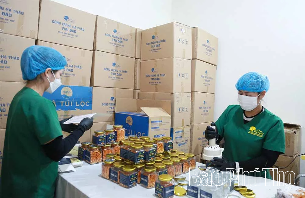 Cơ hội cho doanh nghiệp nhỏ và vừa