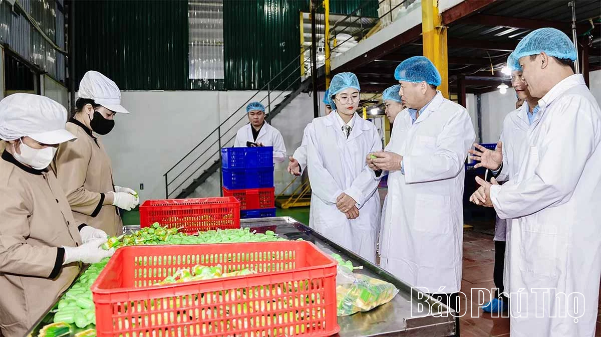 Phó Chủ tịch UBND tỉnh Đinh Công Sứ kiểm tra một số mô hình sản xuất nông nghiệp