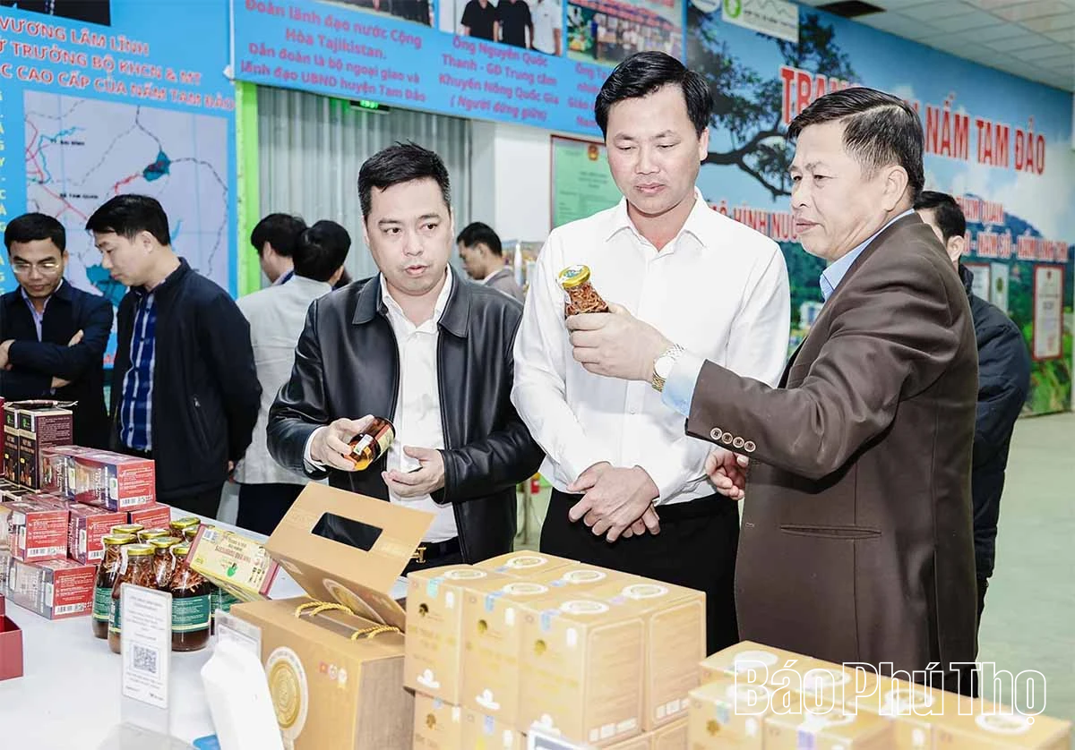 Phó Chủ tịch UBND tỉnh Đinh Công Sứ kiểm tra một số mô hình sản xuất nông nghiệp