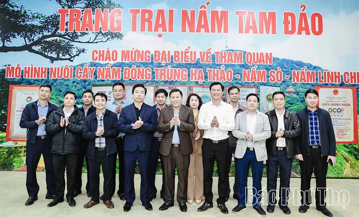 Phó Chủ tịch UBND tỉnh Đinh Công Sứ kiểm tra một số mô hình sản xuất nông nghiệp