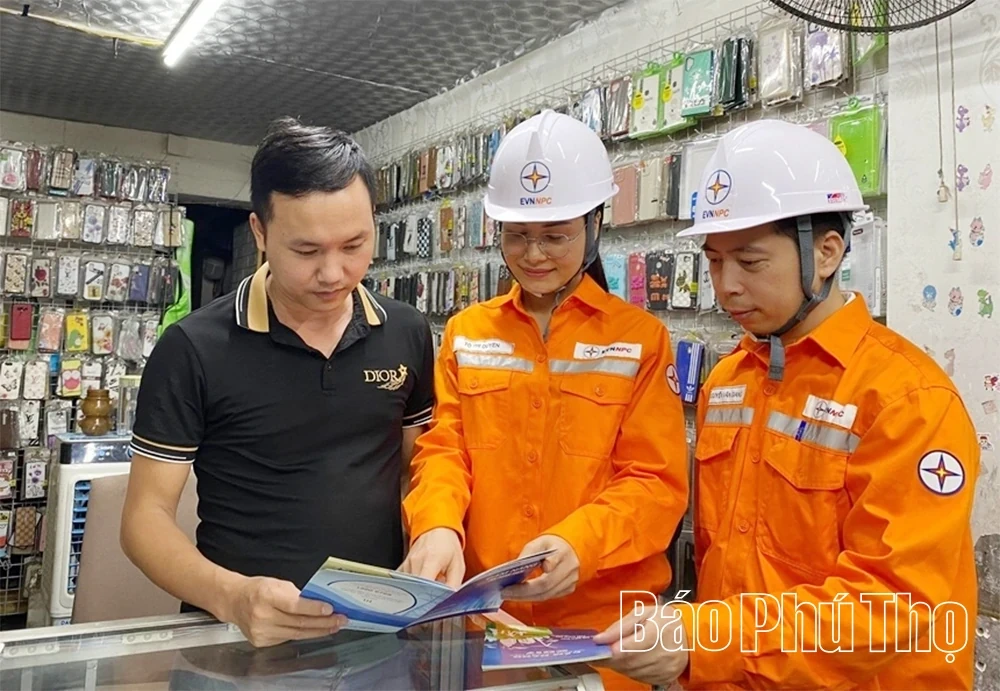 Ensuring Stable and Safe Power Supply