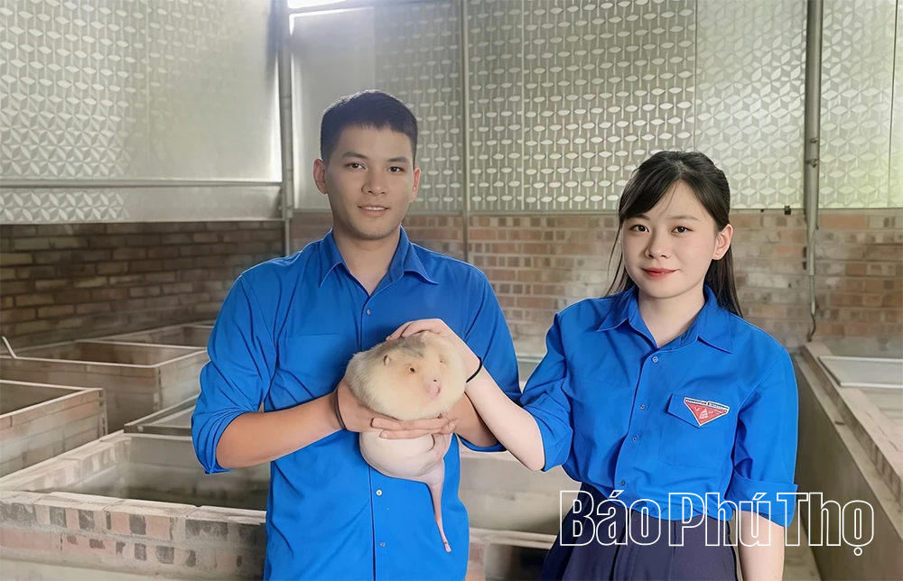 Hỗ trợ hội viên nông dân phát triển kinh tế