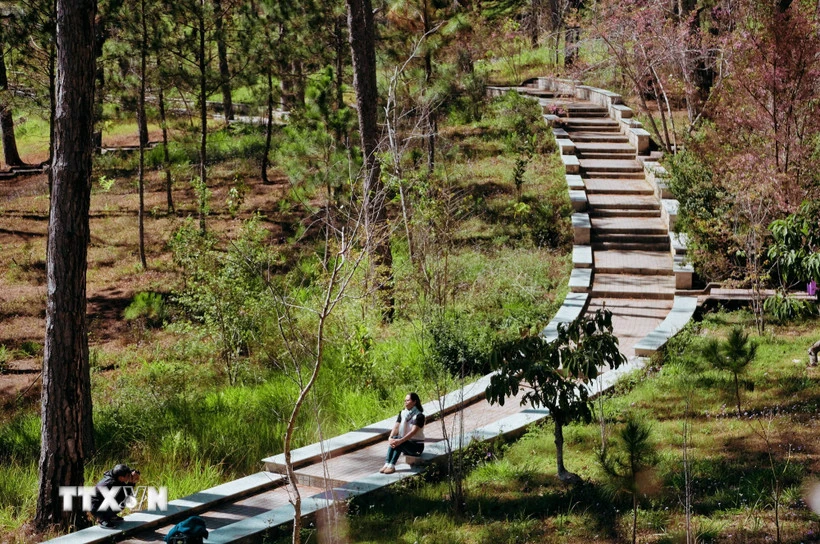 Lâm Đồng: Thăm giảng đường đẹp không góc chết ngay lòng Đà Lạt