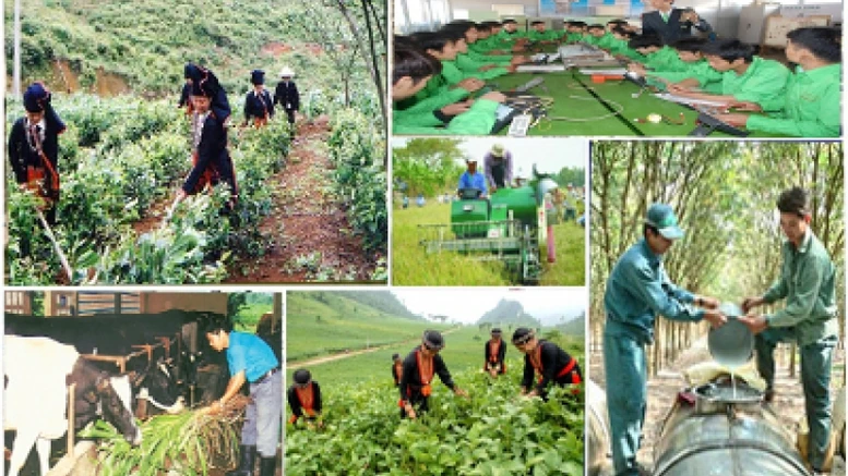 Đổi mới toàn diện, nâng cao chất lượng đào tạo nghề cho lao động nông thôn