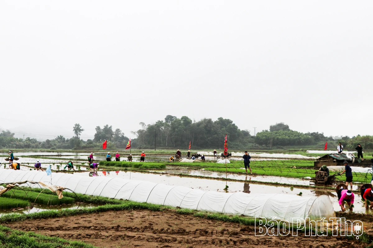 Rộn ràng khí thế lao động sản xuất nông nghiệp đầu Xuân mới