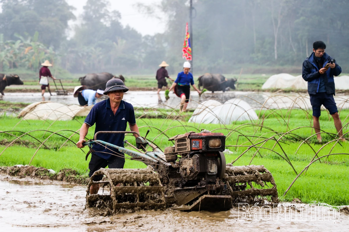 Rộn ràng khí thế lao động sản xuất nông nghiệp đầu Xuân mới
