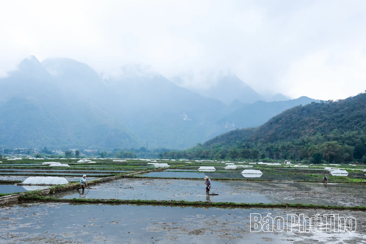 Rộn ràng khí thế lao động sản xuất nông nghiệp đầu Xuân mới