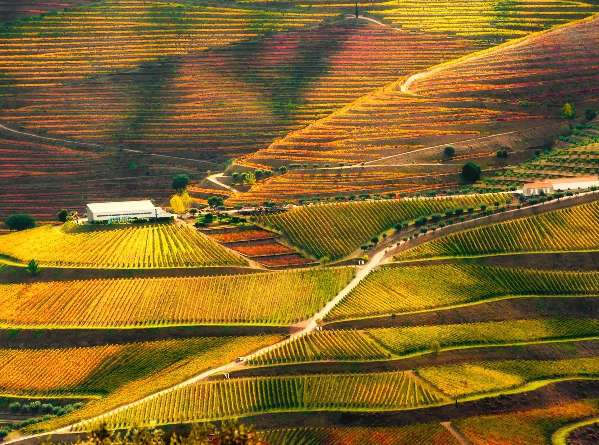 Báo Anh chọn hai điểm đến ở Việt Nam vào top đẹp nhất thế giới