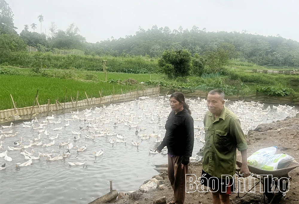 Trụ cột của tín dụng “Tam nông”