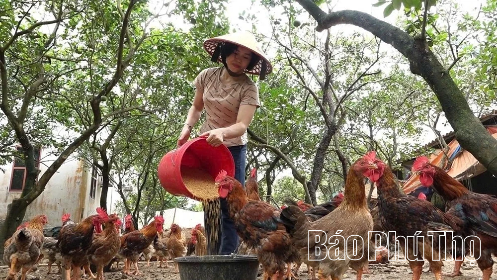 Lạc Thủy từng bước hướng tới xã nông thôn mới nâng cao