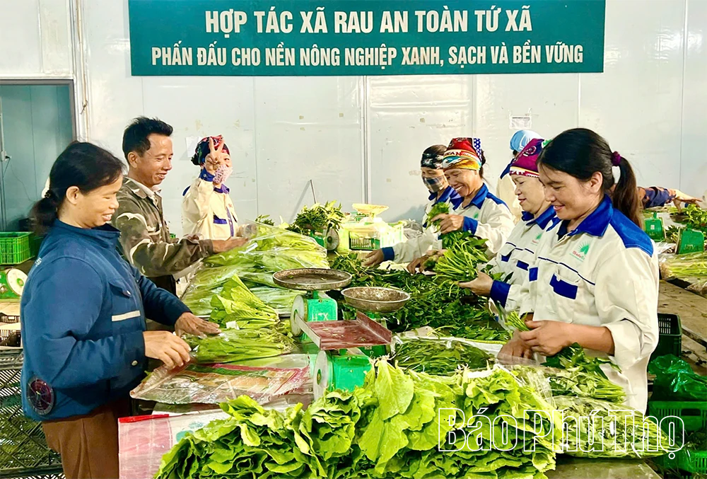 Liên kết vùng- tăng hiệu quả tiêu thụ nông sản